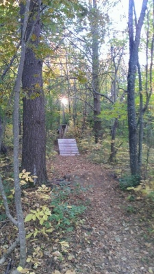 Wooden thingy. Wooden thingy.