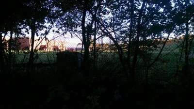 Beyond the fence. Beyond the fence.