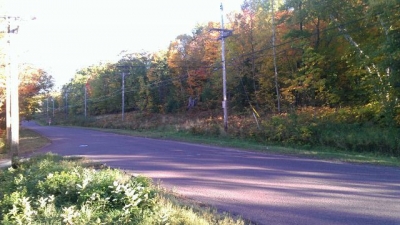 Dumb street. Dumb street.