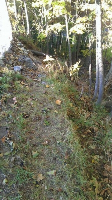 Top of hill. Top of hill.