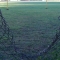 Fence hole!