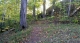 Clearing.