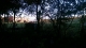 Beyond the fence.