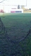 Fence hole!