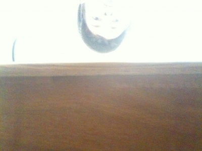 Trying to Take a Picture of the Installed Inscription