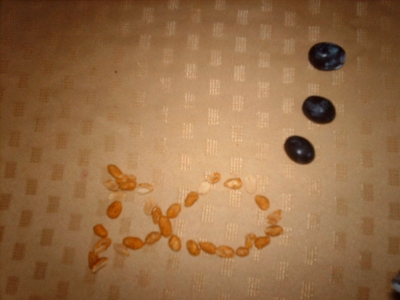 My fish