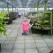 Aw what lovely flowers??