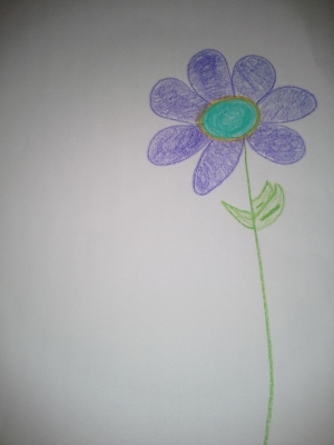 David-flower.jpg David-flower.jpg