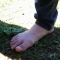 foot