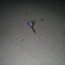 The first Clue!