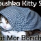 lolcatsdotcomw1zzj2xc8e4u06gi.jpg