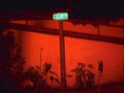 sf01.jpg
