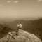 n607346855_1186433_5357.jpg