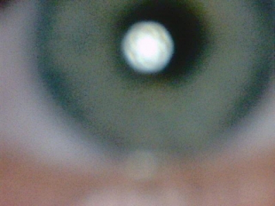 eye eye eye.jpg