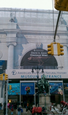 Museum Facade Facade