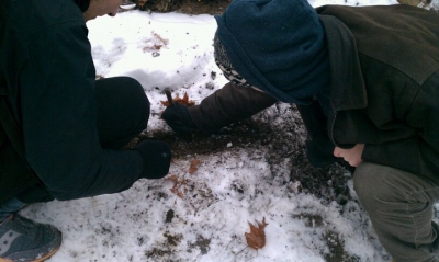 the search continues