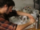Papier-Mache (continued)