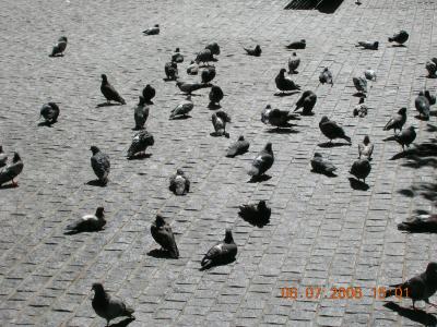 Scatter Pattern