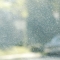 windshield.JPG windshield.JPG