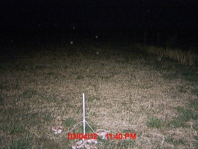 MDGC0232.JPG MDGC0232.JPG