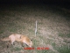 04.08.2011.06.07Spot.JPG