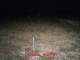 MDGC0232.JPG