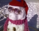 snow.jpg