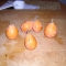 loquat