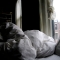 View from my bed, of my bed