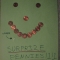 SURPRIZE PENNIES!1!1
