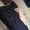 the bed