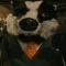 Werebadger2.jpg
