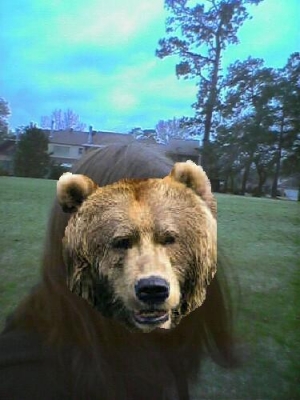 Bear2.JPG
