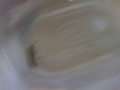 IMAG0103.JPG