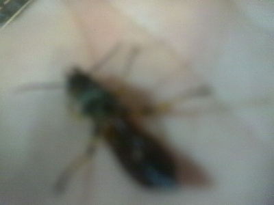 IMAG0107.JPG