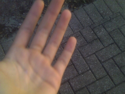 IMAG0110.JPG