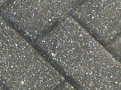 IMAG0111.JPG