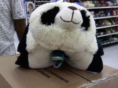 IMAG0121.JPG