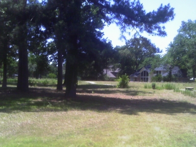 IMAG0126.JPG