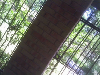 IMAG0128.JPG