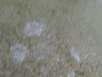IMAG0130.JPG