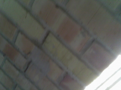 IMAG0131.JPG