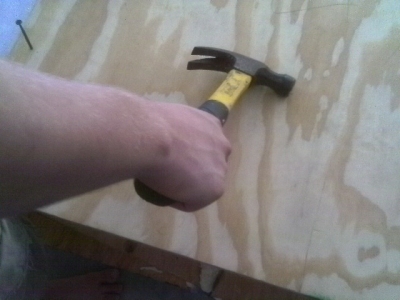 IMAG0271.JPG IMAG0271.JPG