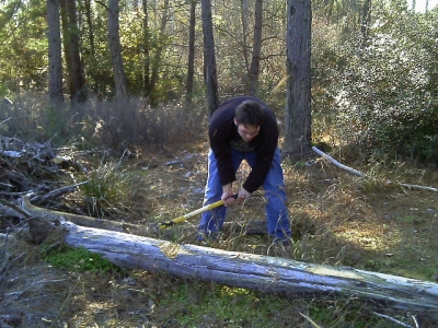 IMAG0287.JPG