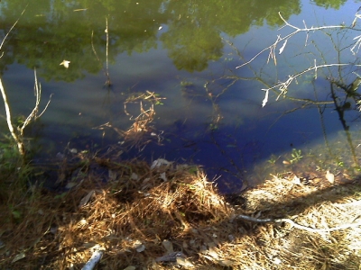 IMAG0290.JPG