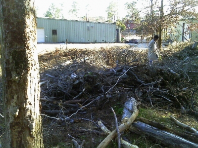 IMAG0295.JPG