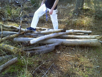 IMAG0296.JPG