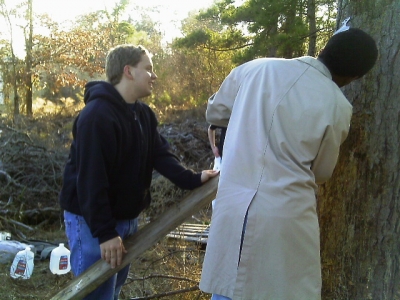 IMAG0305.JPG