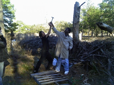 IMAG0310.JPG