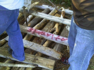 IMAG0313.JPG